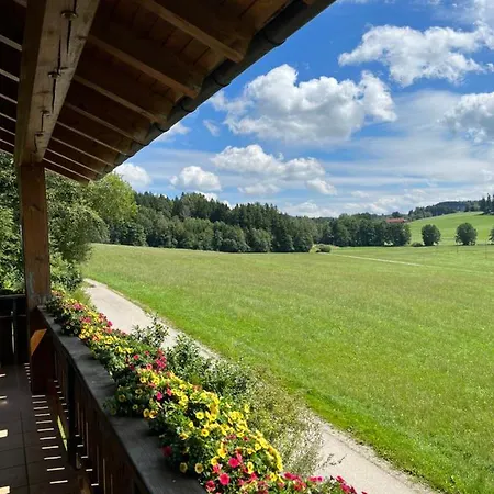Loewenzahn * Friesenried