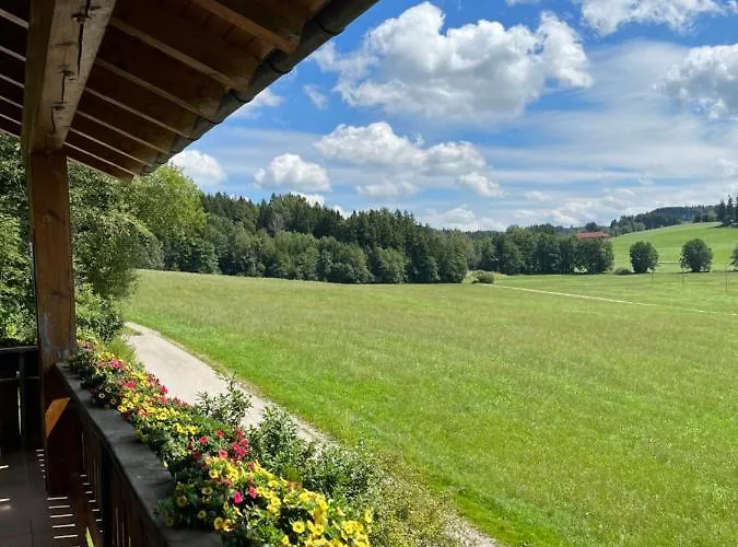 Loewenzahn * Friesenried